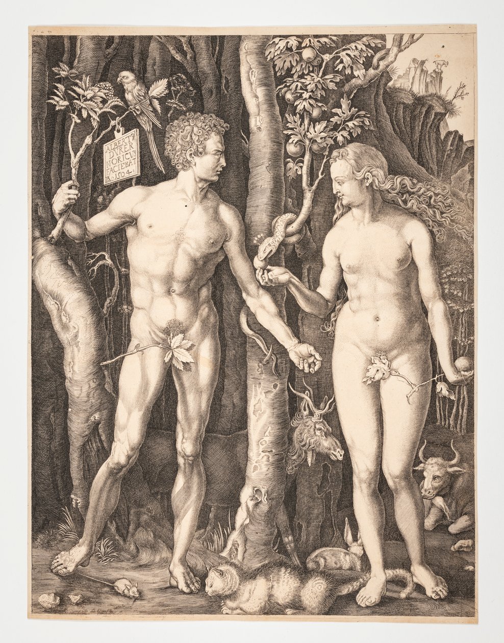 Adam and Eve in the Garden of Eden - Albrecht Durer - 20-1932-109 door After Albrecht Dürer
