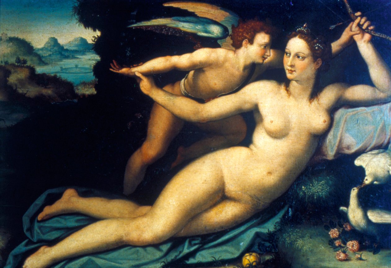 Venus en Cupido, midden 16e eeuw door Agnolo Bronzino