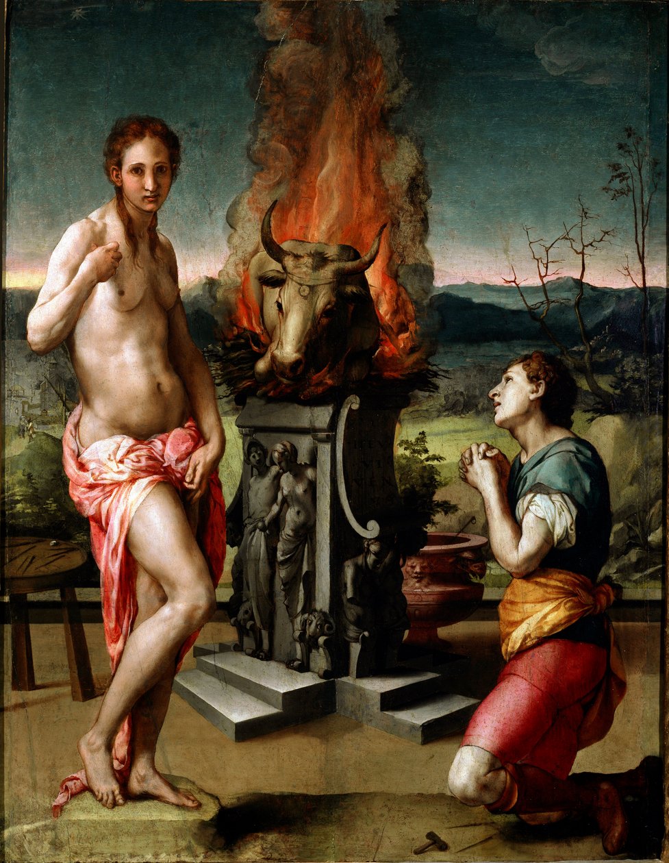 Pygmalion en Galatea door Agnolo Bronzino