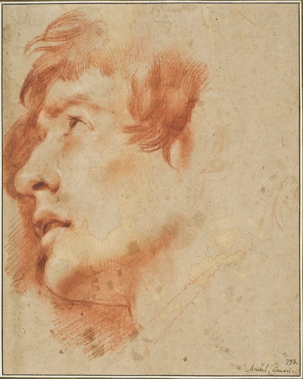 Hoofd van een jonge man die omhoog kijkt door Agostino Carracci