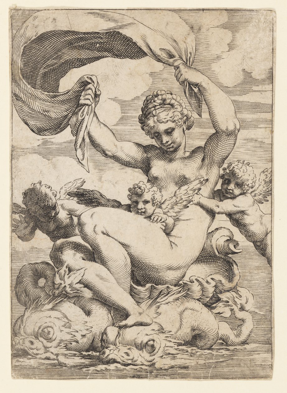Venus (of Galatea) en Cupido