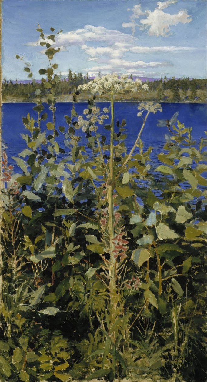 Wilde engelwortel door Akseli Gallen-Kallela