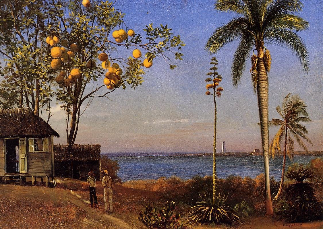 Een uitzicht op de Bahama