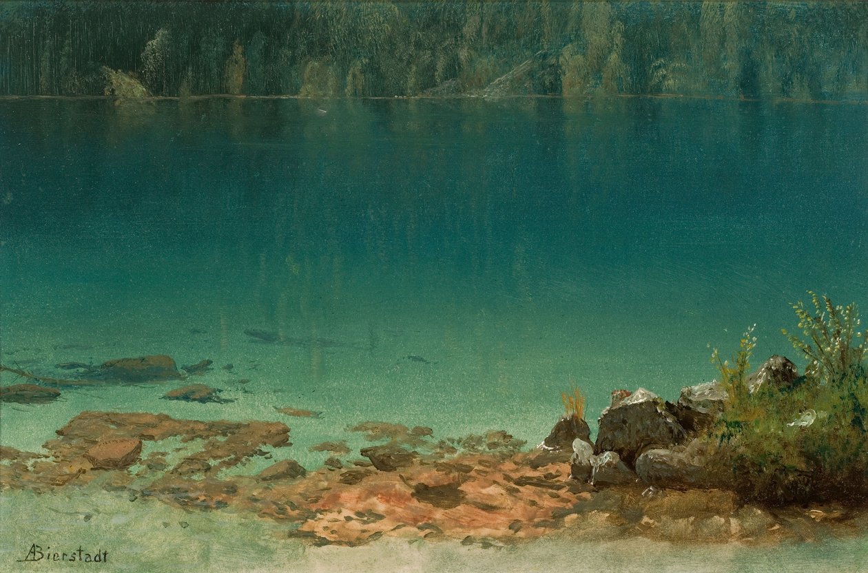 Meerscène door Albert Bierstadt