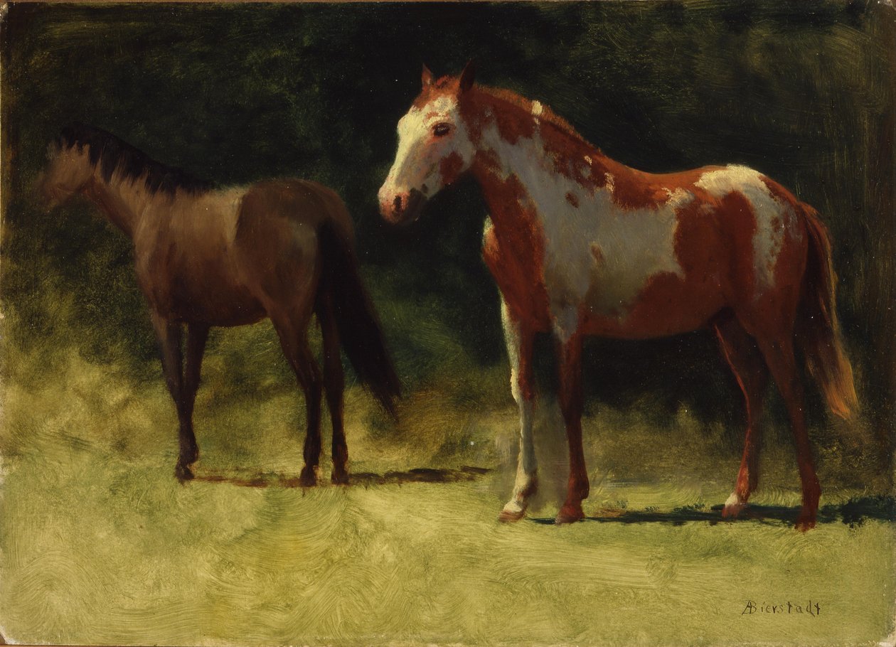 Twee paarden door Albert Bierstadt