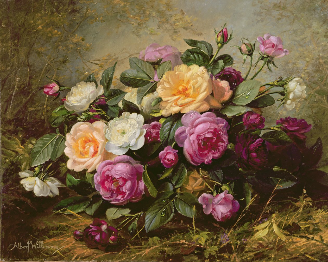 Volledig gebloeide rozen door Albert Williams