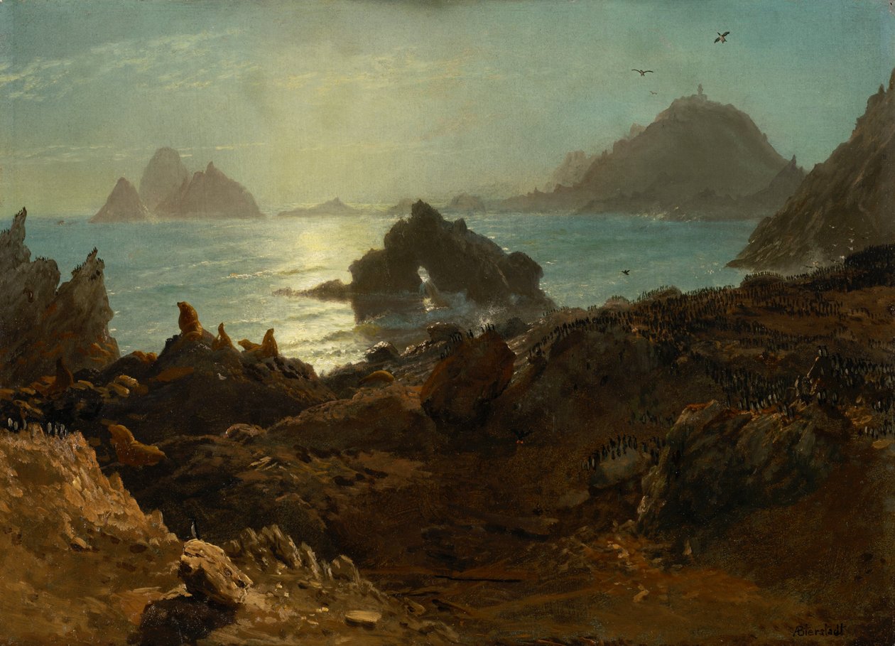 Faeralloneilanden, Stille Oceaan, Californië door Albert Bierstadt