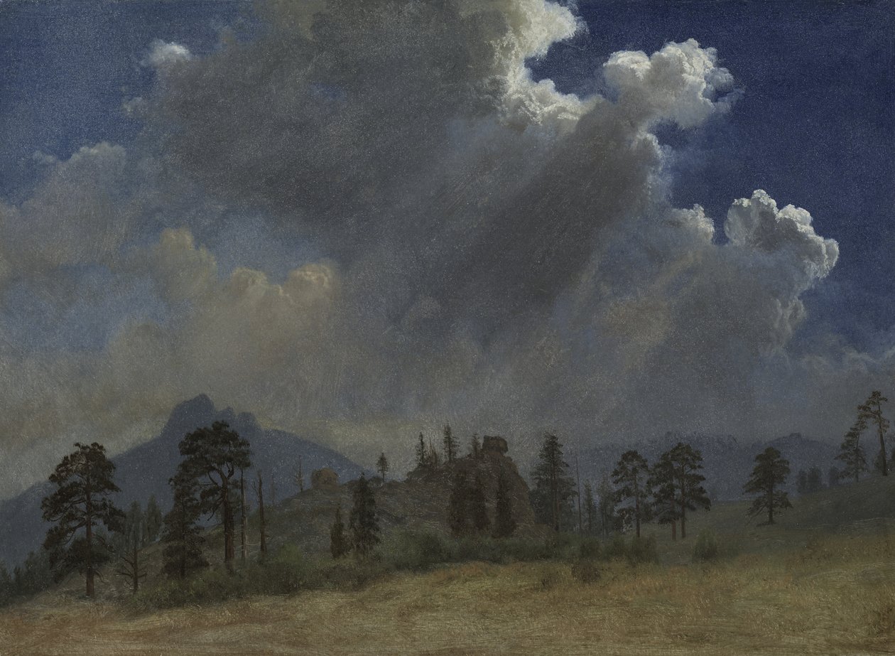 Dennenbomen en onweerswolken door Albert Bierstadt