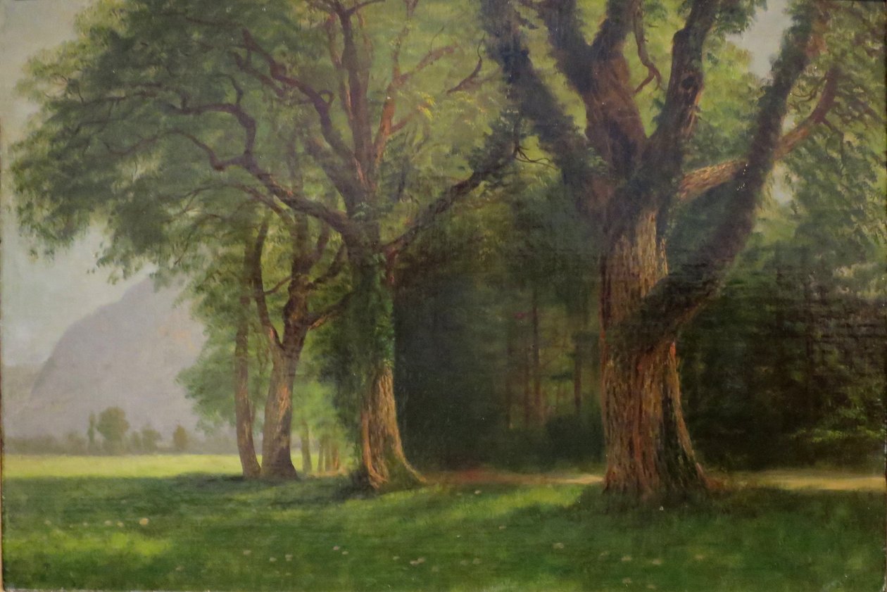 In de vallei van de Yosemite door Albert Bierstadt