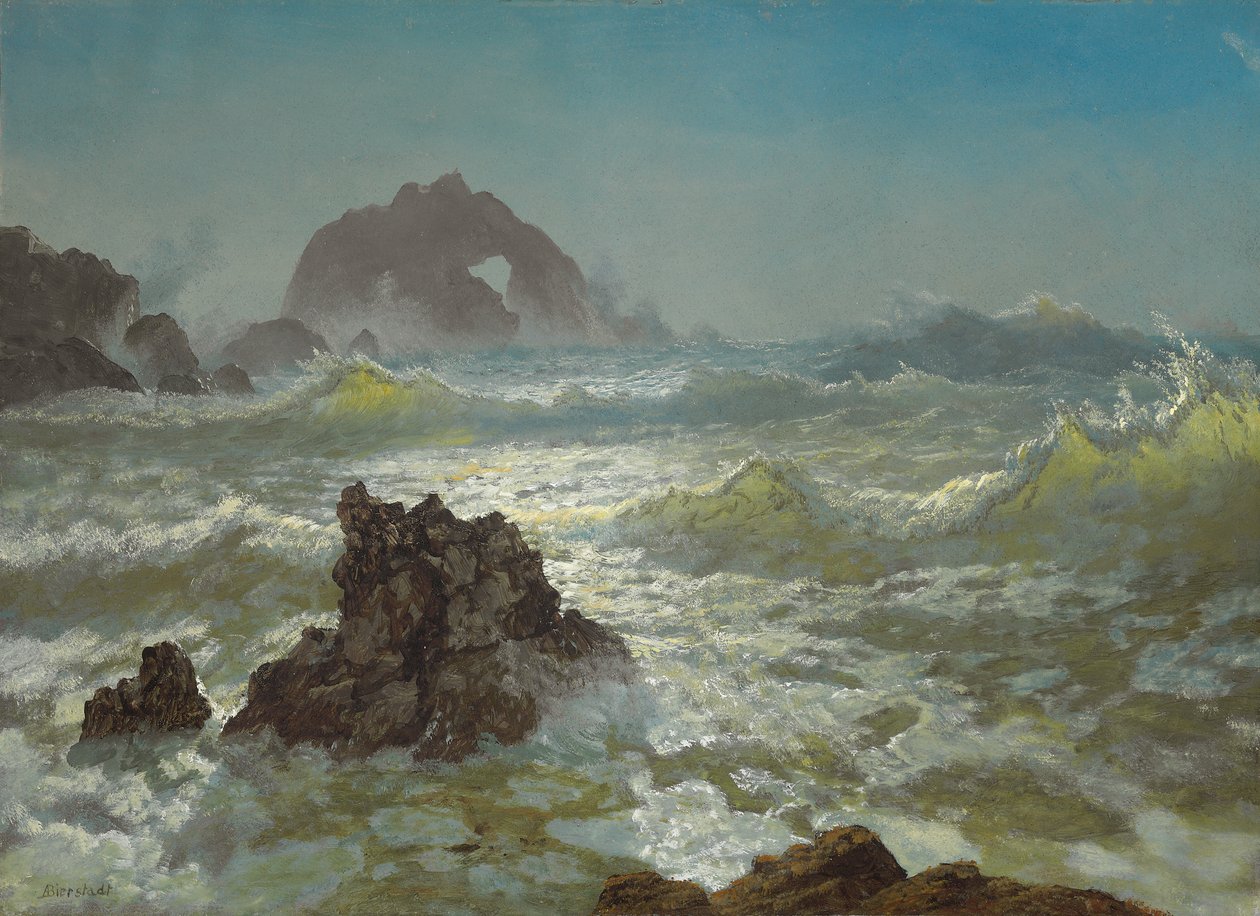 Seal Rock, Californië door Albert Bierstadt