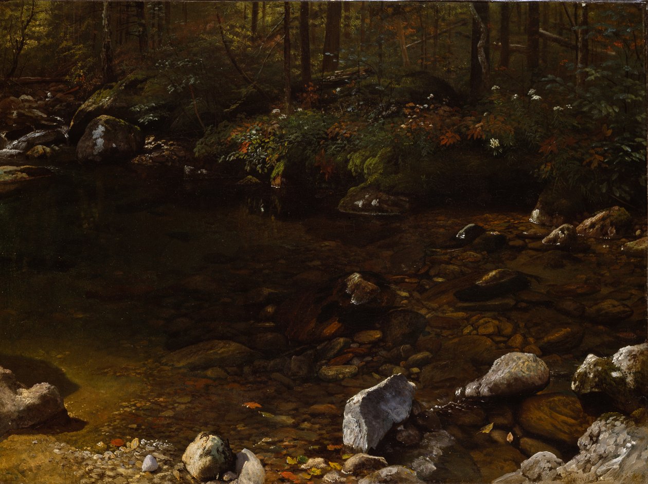 Schaduwrijke vijver, White Mountains, New Hampshire door Albert Bierstadt