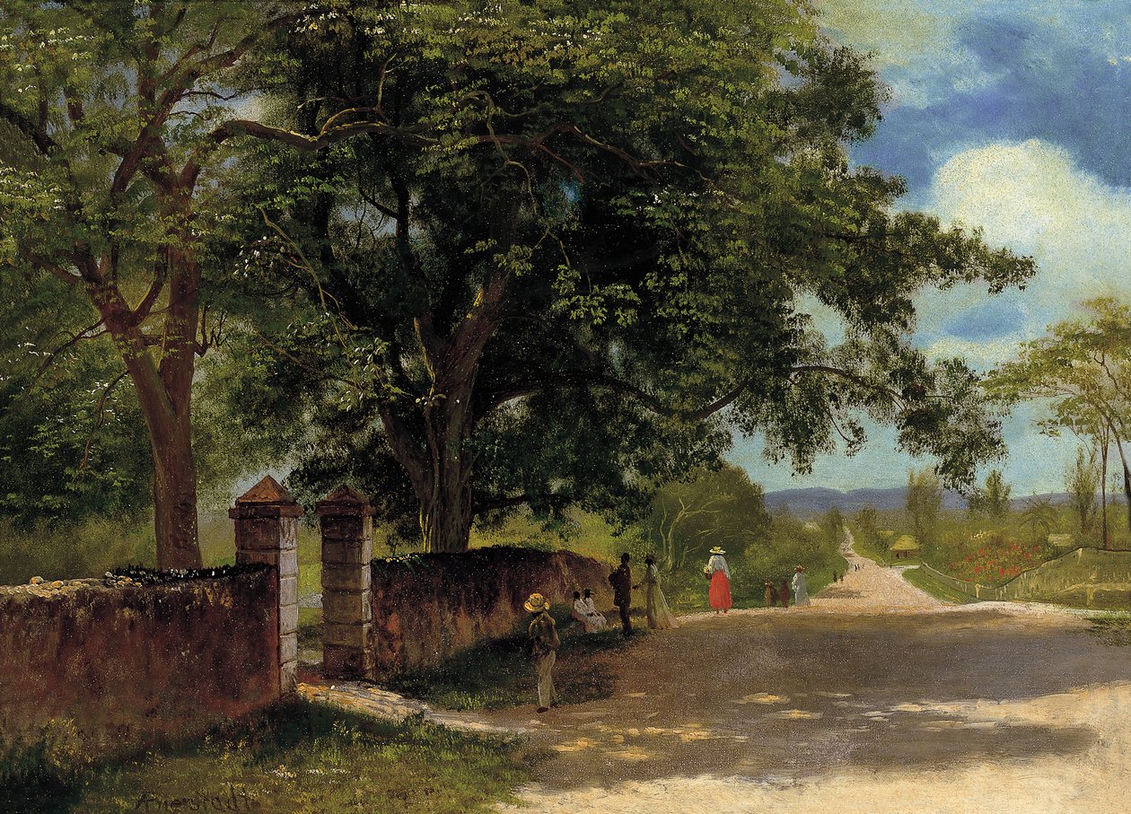 Street in Nassau door Albert Bierstadt