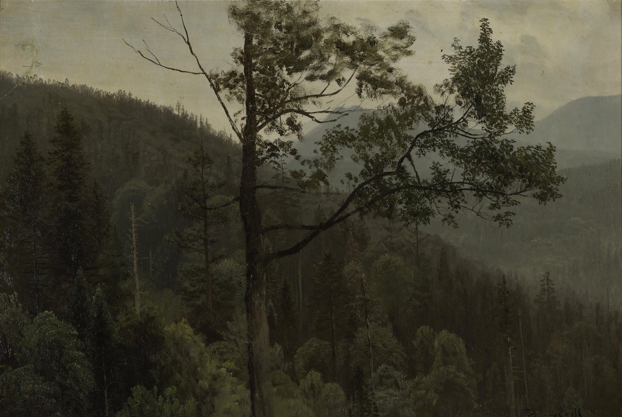 Met bomen begroeide bergen door Albert Bierstadt