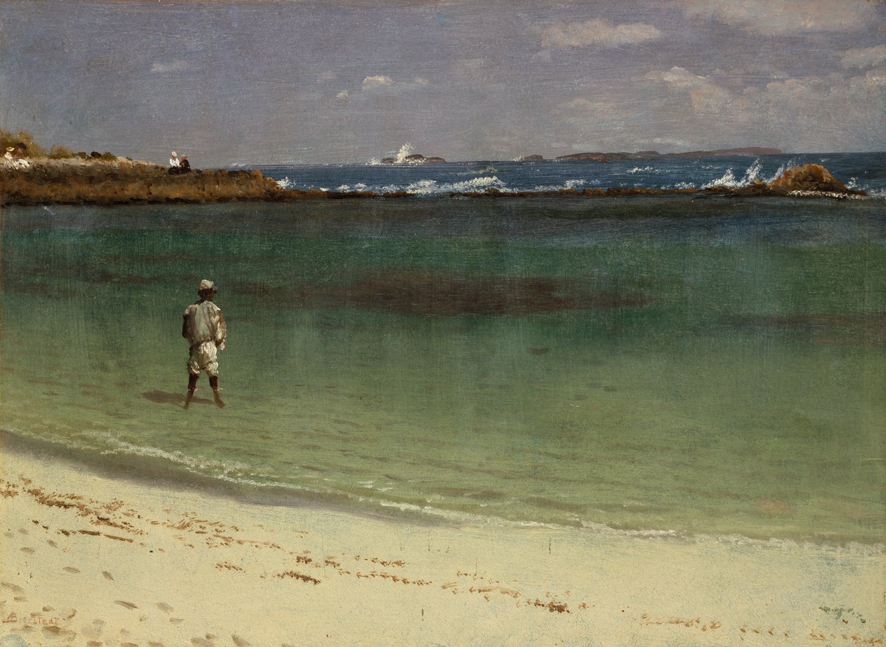 Kustgezicht van West-Indië, ca. 1880-93 (olieverf op papier gemonteerd op vezelplaat) door Albert Bierstadt