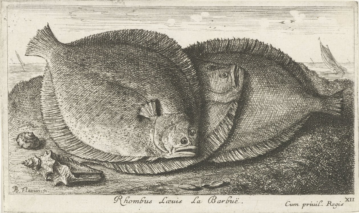 Drie grieten op het strand Vissen en andere zeedieren - zoutwater derde reeks Poissons de mer door Albert Flamen