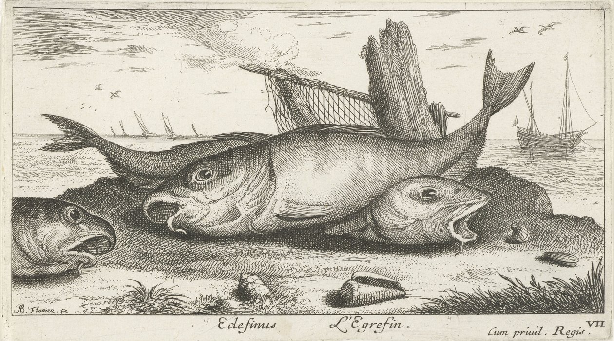 Drie schelvissen op het strand Vissen en andere zeedieren - zoutwater derde reeks Poissons de mer door Albert Flamen