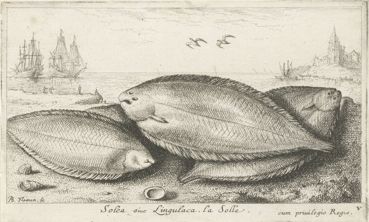Drie zeetongen op het strand door Albert Flamen