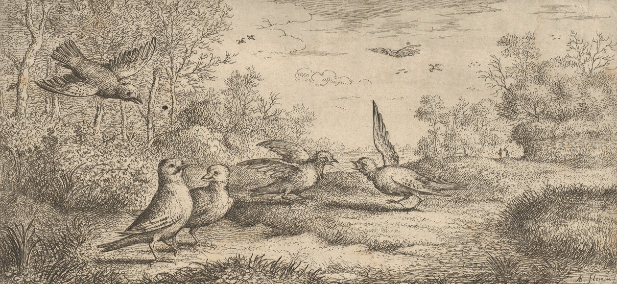 Garrulus, Gey De Gaai: Livre d