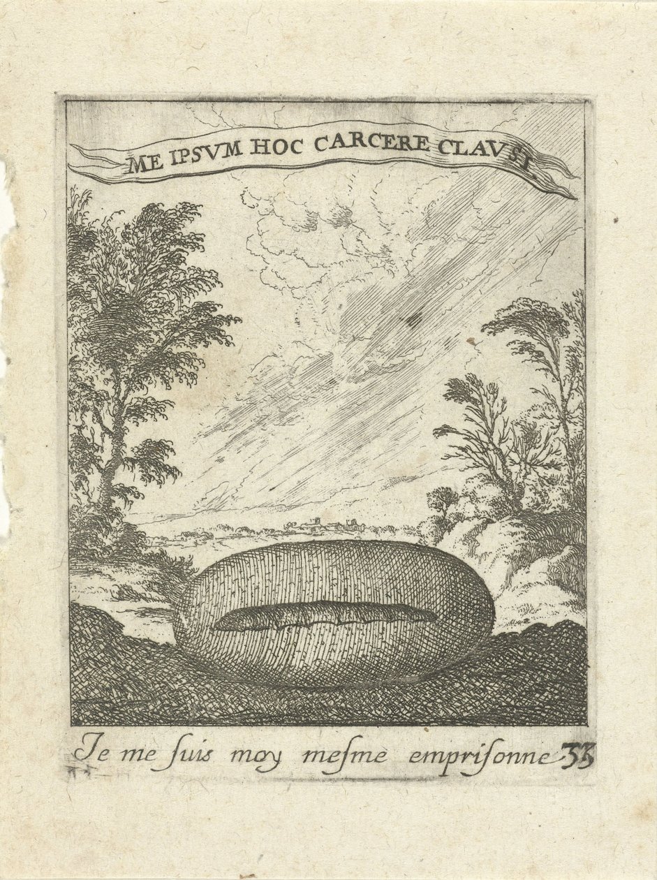 Landschap met cocon door Albert Flamen