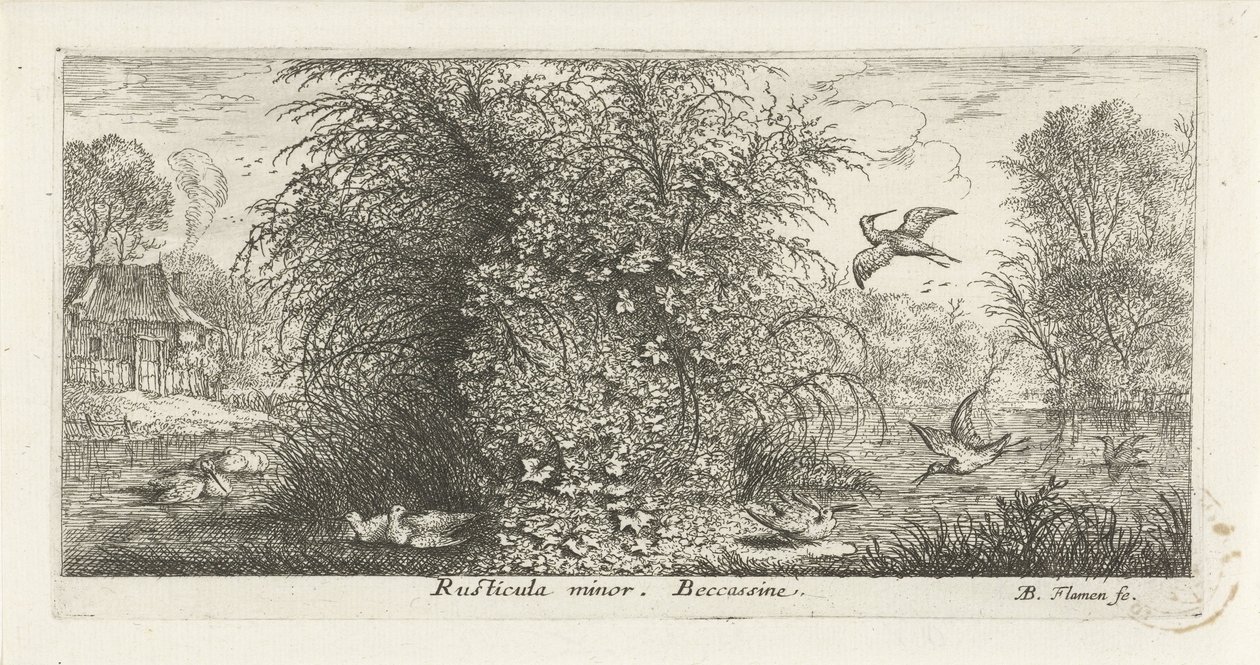 Landschap met watersnip Rusticula minor. beccassine. (titel op object) Vogelboek (serie titel) Livre d