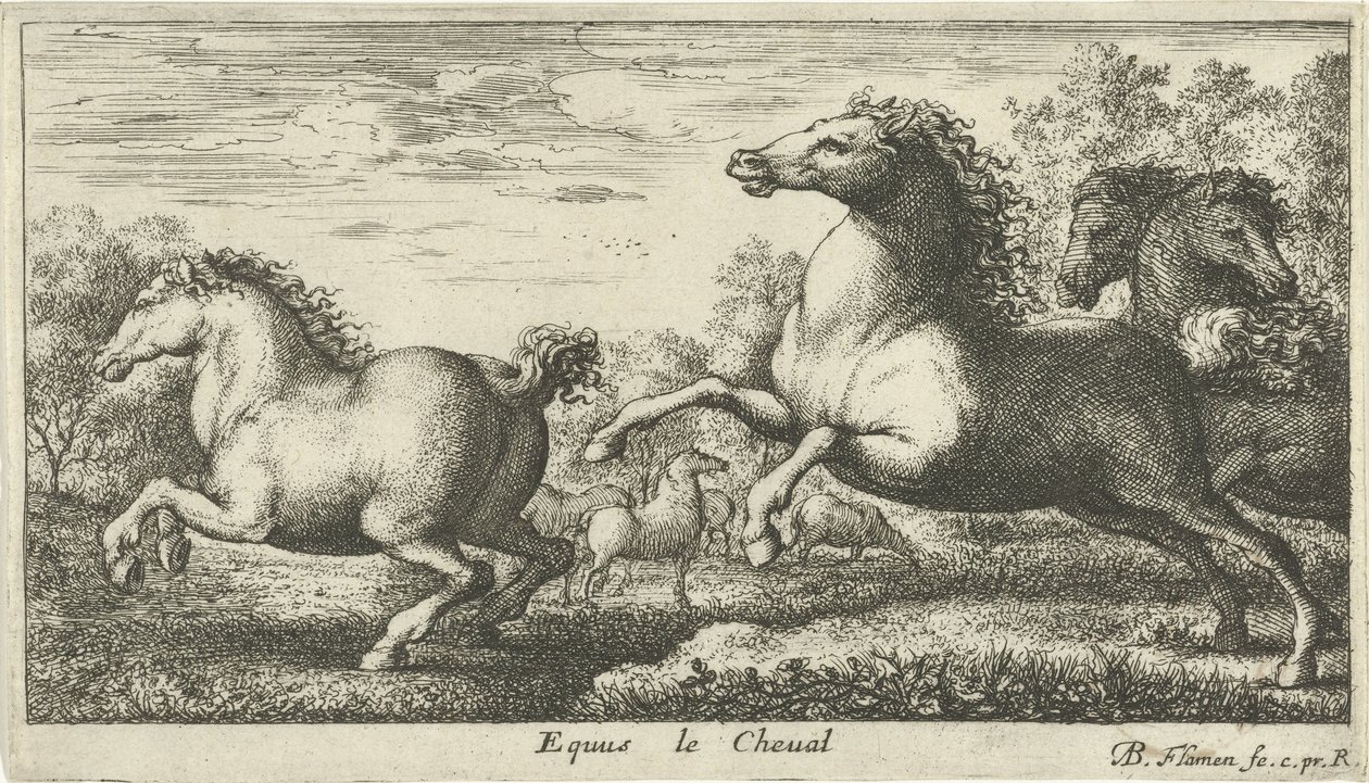 Paarden door Albert Flamen