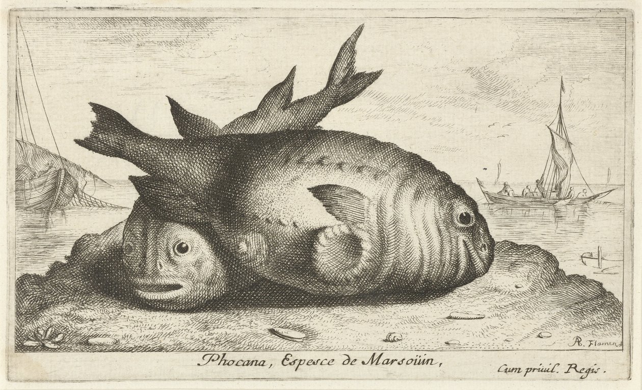 Twee bruinvissen op het strand door Albert Flamen