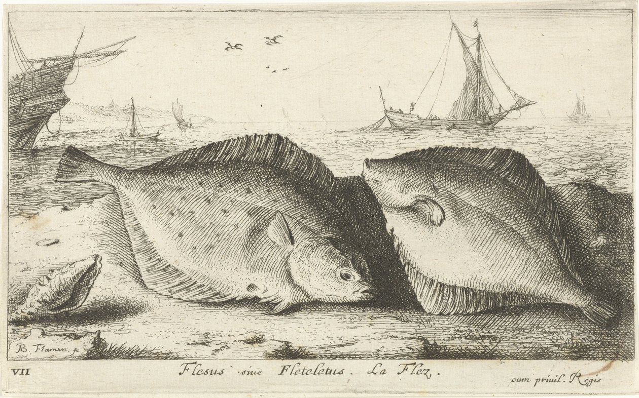 Twee schollen op het strand door Albert Flamen