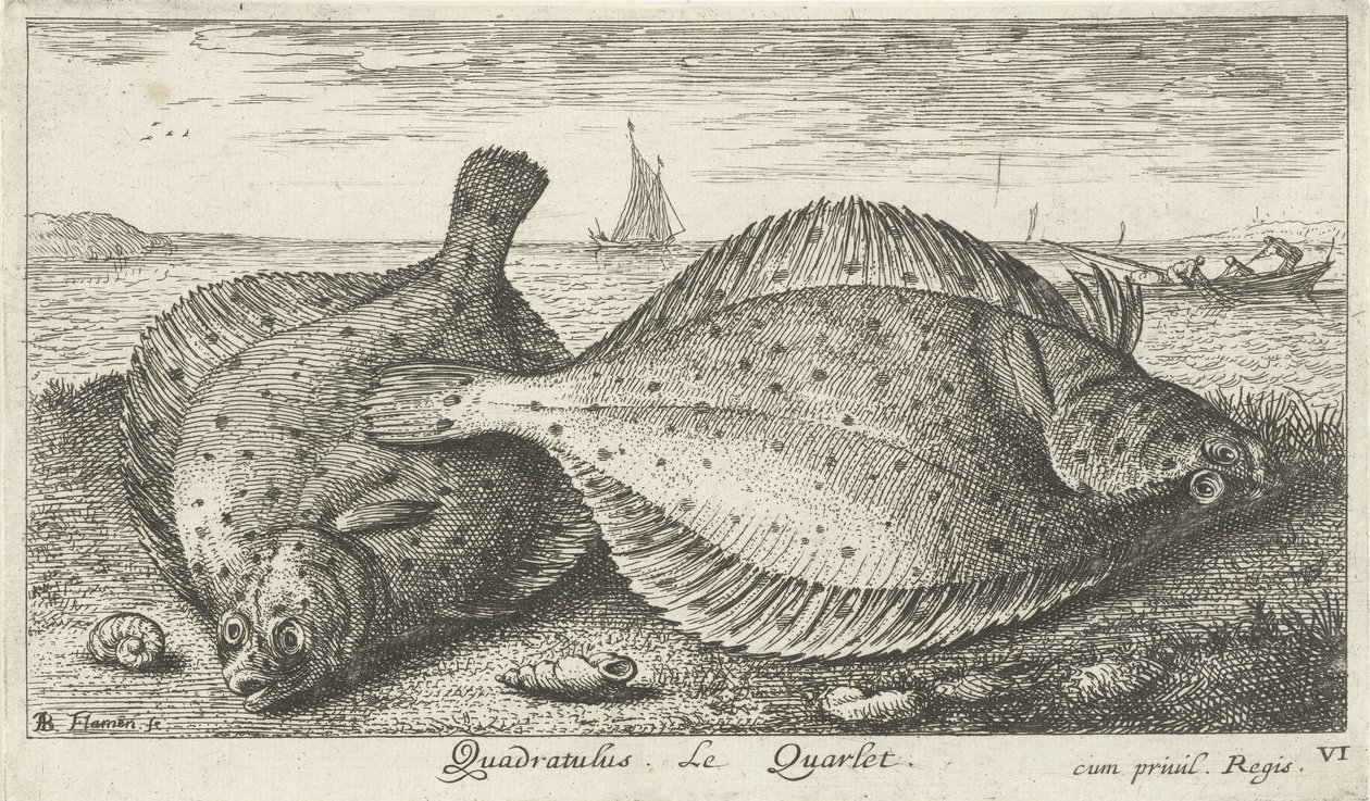 Twee schollen op het strand door Albert Flamen
