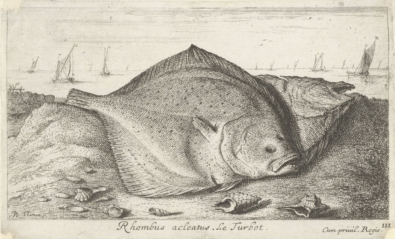 Twee tarbotten op het strand door Albert Flamen