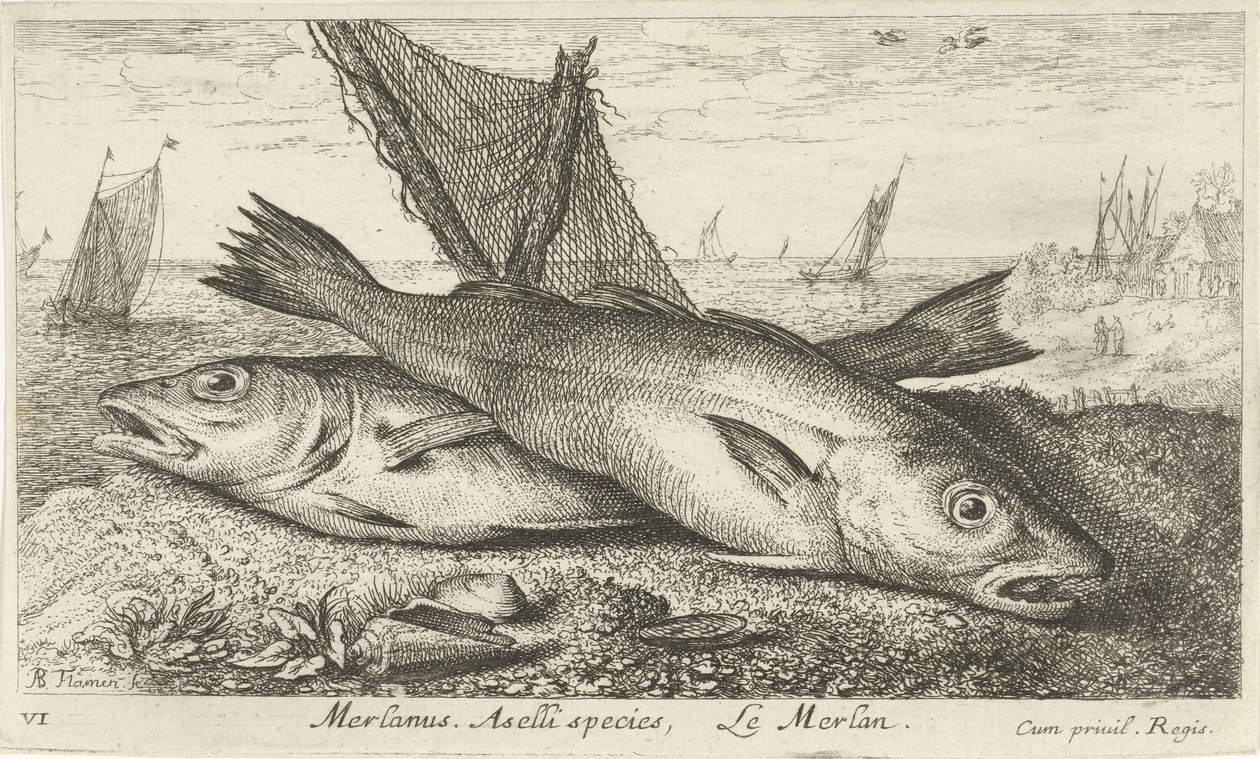 Twee wijtingen op het strand door Albert Flamen