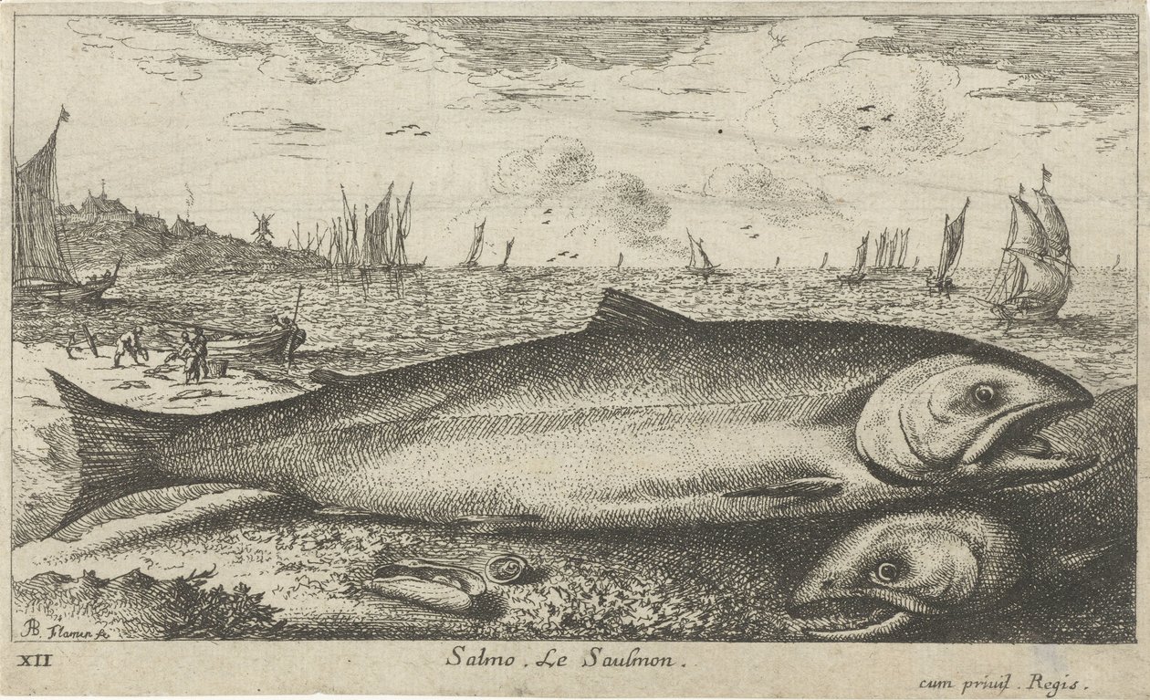 Twee zalmen op het strand door Albert Flamen