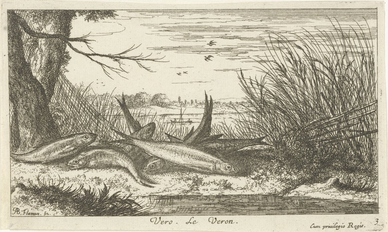 Voornen op een rivieroever door Albert Flamen