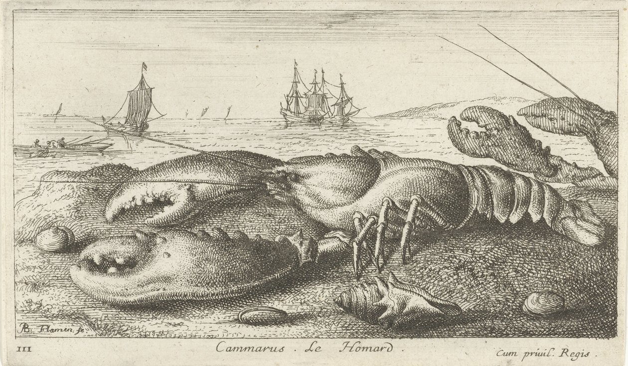 Zeekreeft op het strand Vissen en andere zeedieren - zoutwater eerste reeks Diverses Especes de Poissons de mer door Albert Flamen