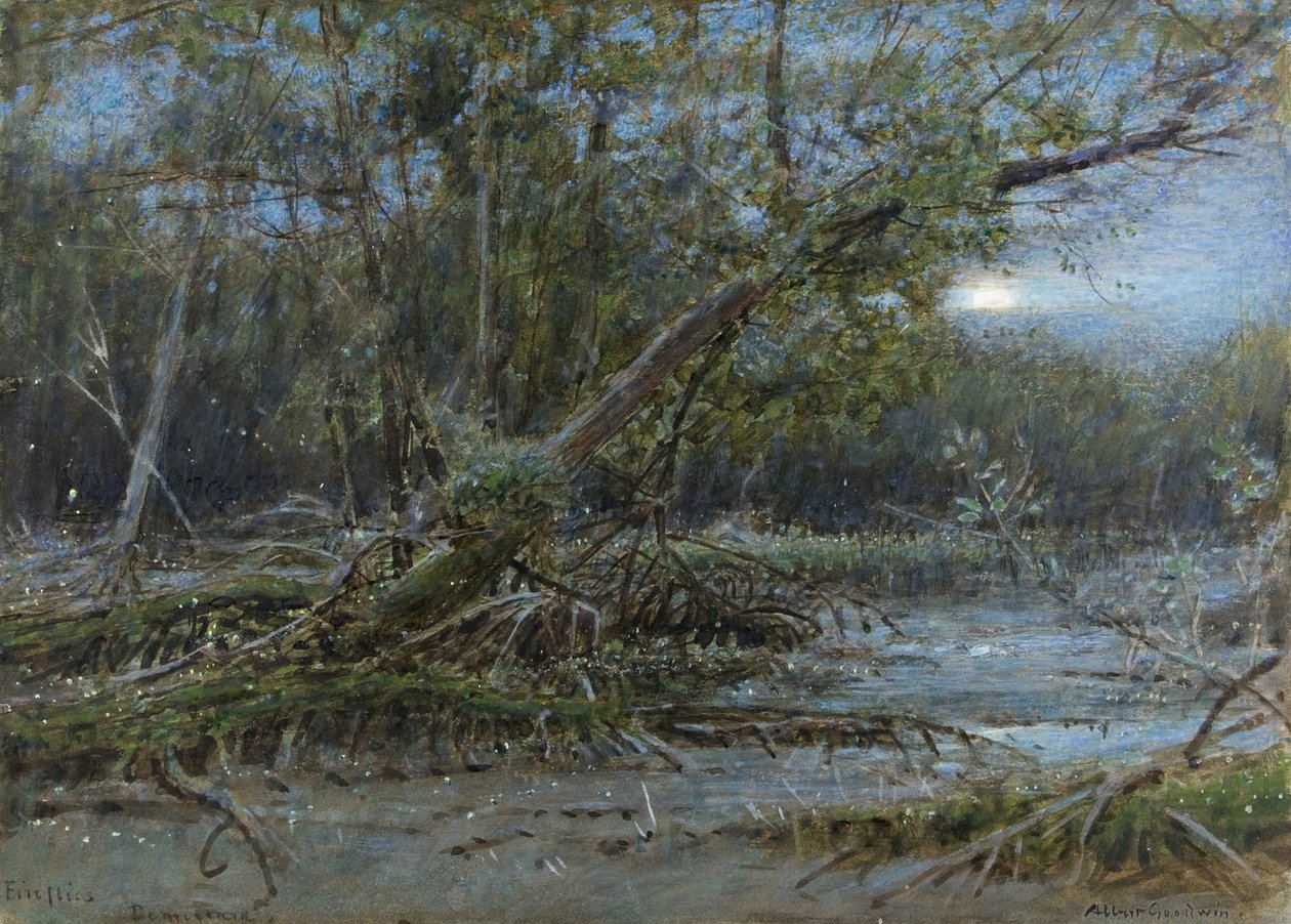 Vuurvliegjes, Demerera, c.1902 door Albert Goodwin