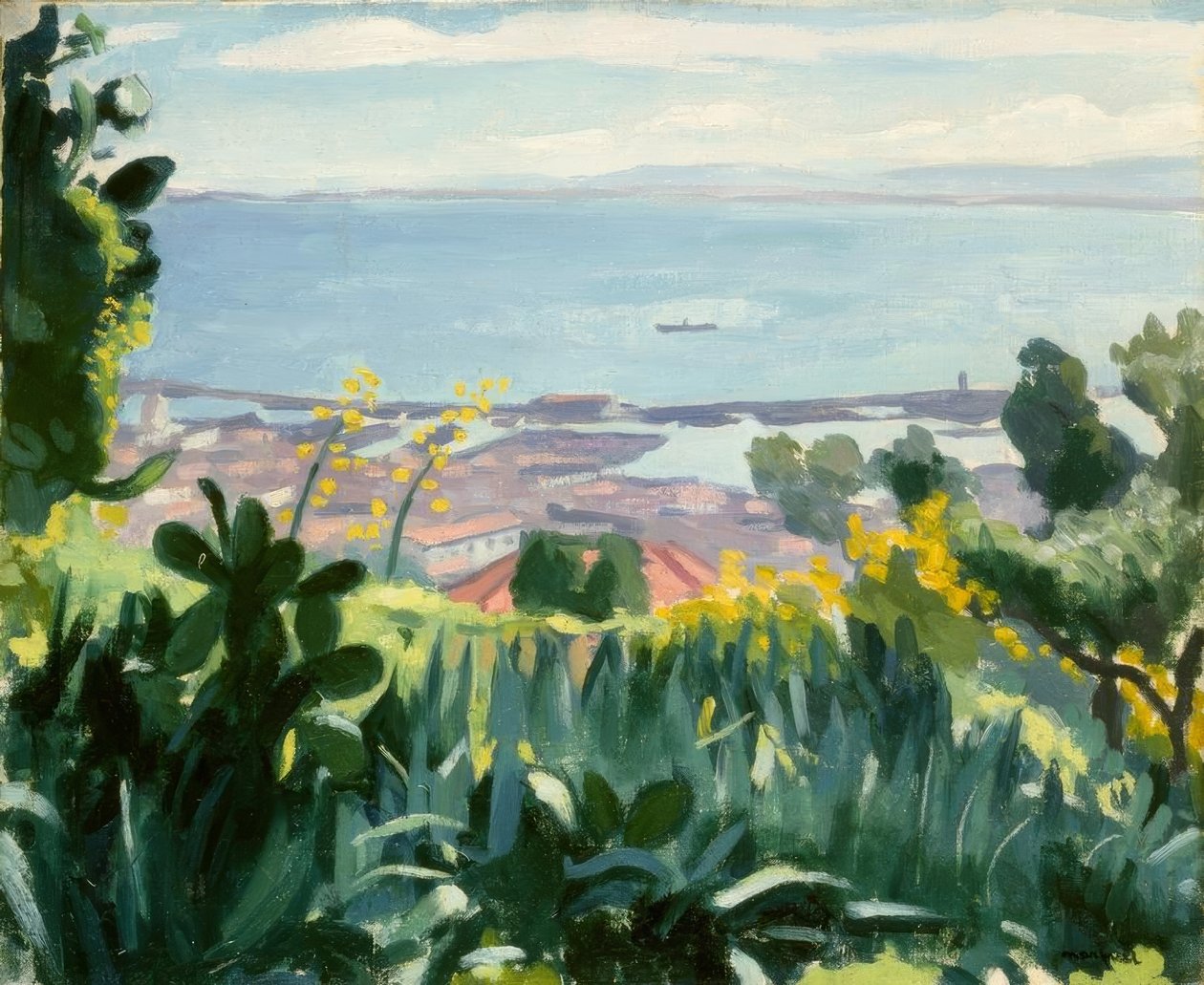 Algiers - Uitzicht vanaf de hoogten van Mustapha door Albert Marquet