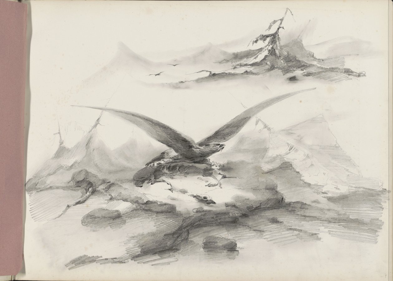 Arend vliegend boven een kust met bergen door Albertus van Beest