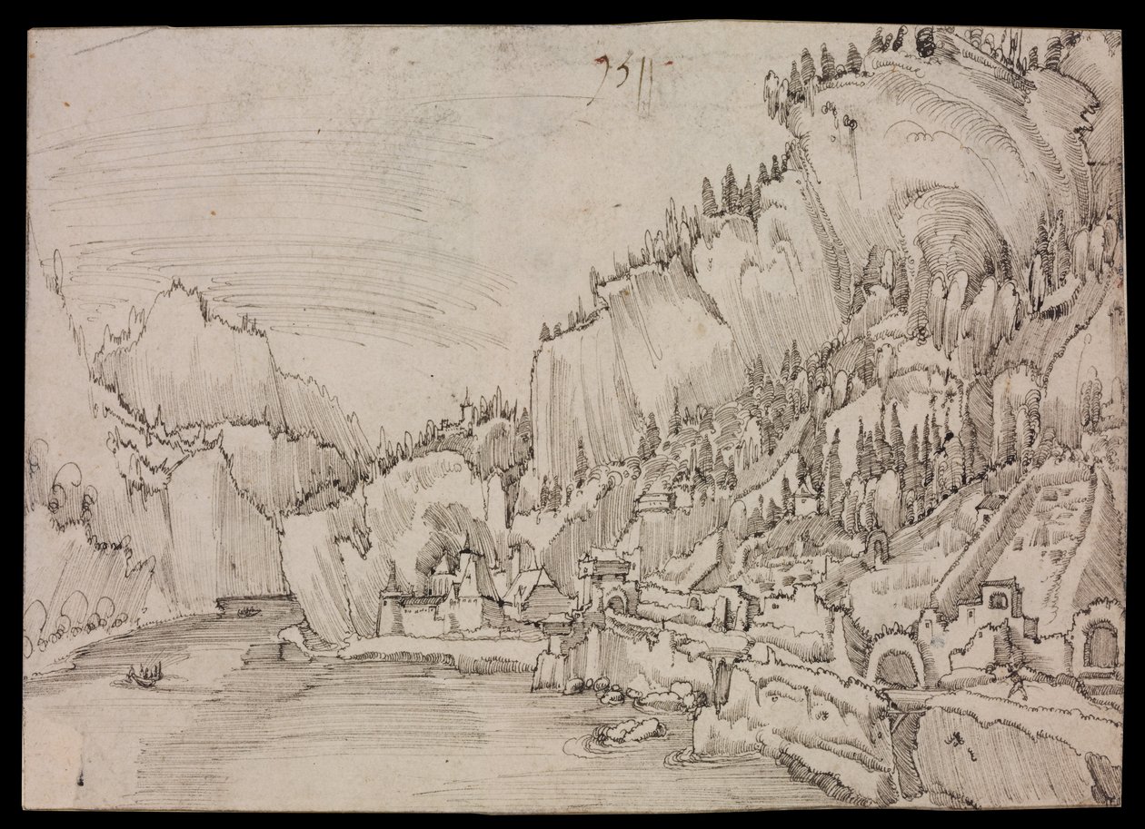 Sarmingstein aan de Donau door Albrecht Altdorfer
