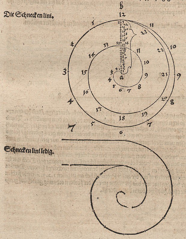 Archimedische spiraal door Albrecht Dürer