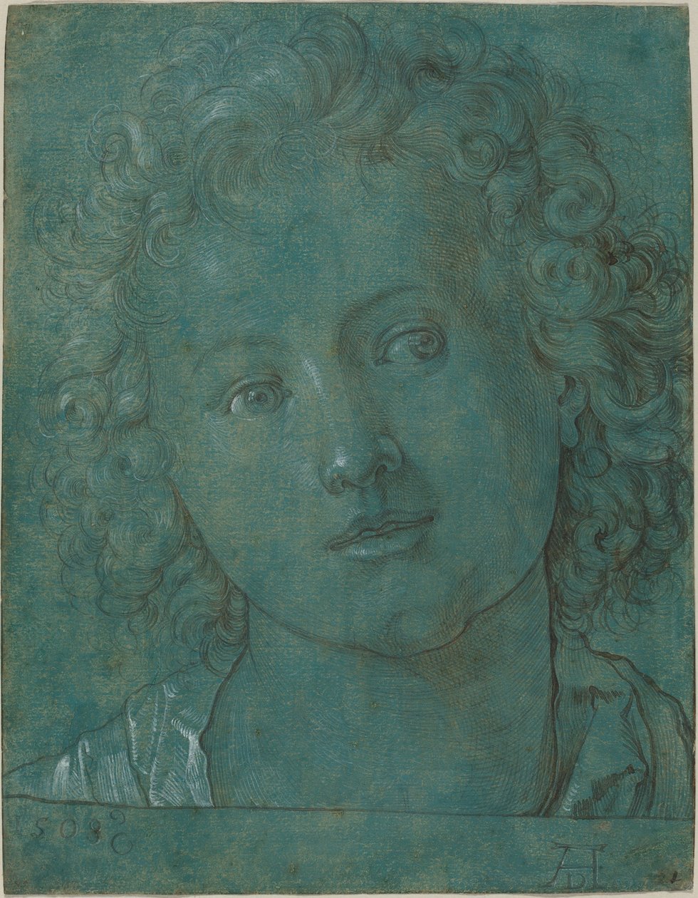 Hoofd van een jongen door Albrecht Dürer