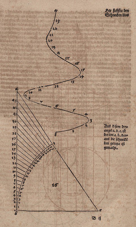 Conische spiraal zonder hulplijnen door Albrecht Dürer