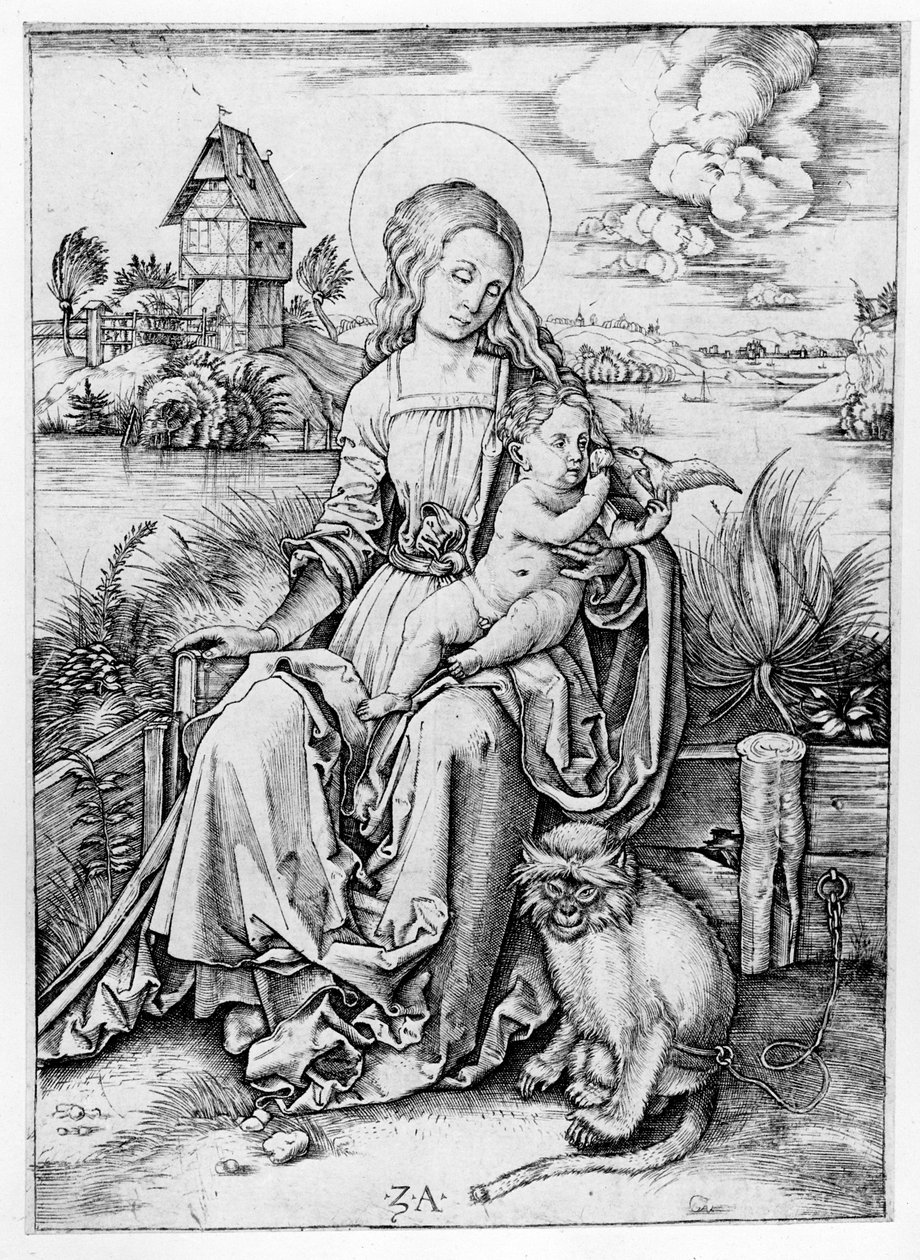 Madonna met de aap door Albrecht Dürer
