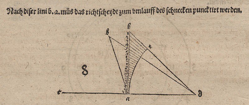 Tangens-spiraal en verwanten door Albrecht Dürer