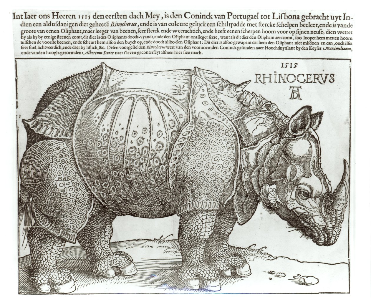 Neushoorn, prent gegeven aan Maximiliaan I (1459-1519) door de koning van Lissabon (1495-1521), 1515 door Albrecht Dürer