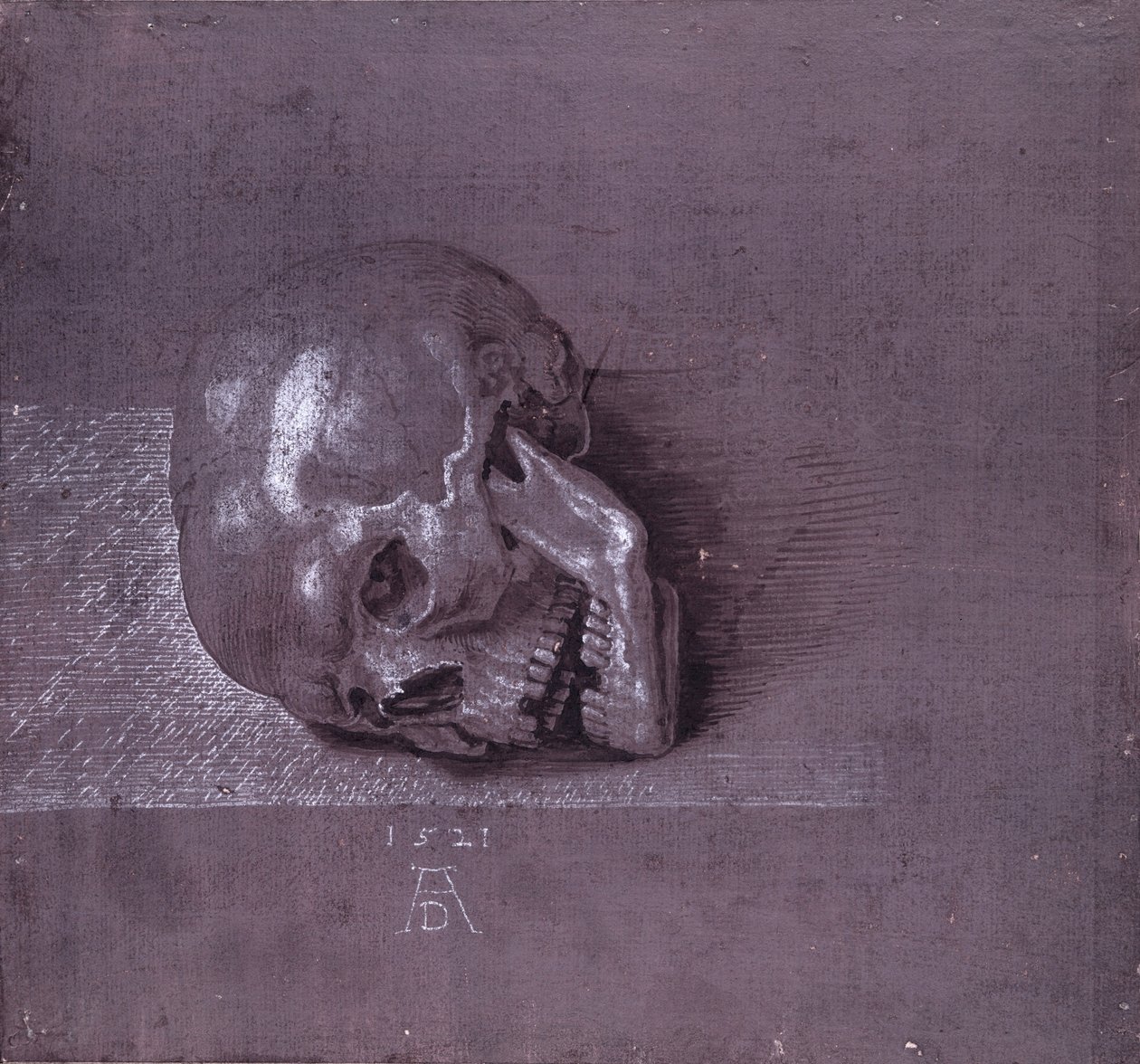 Studie van een menselijke schedel, 1521 door Albrecht Dürer