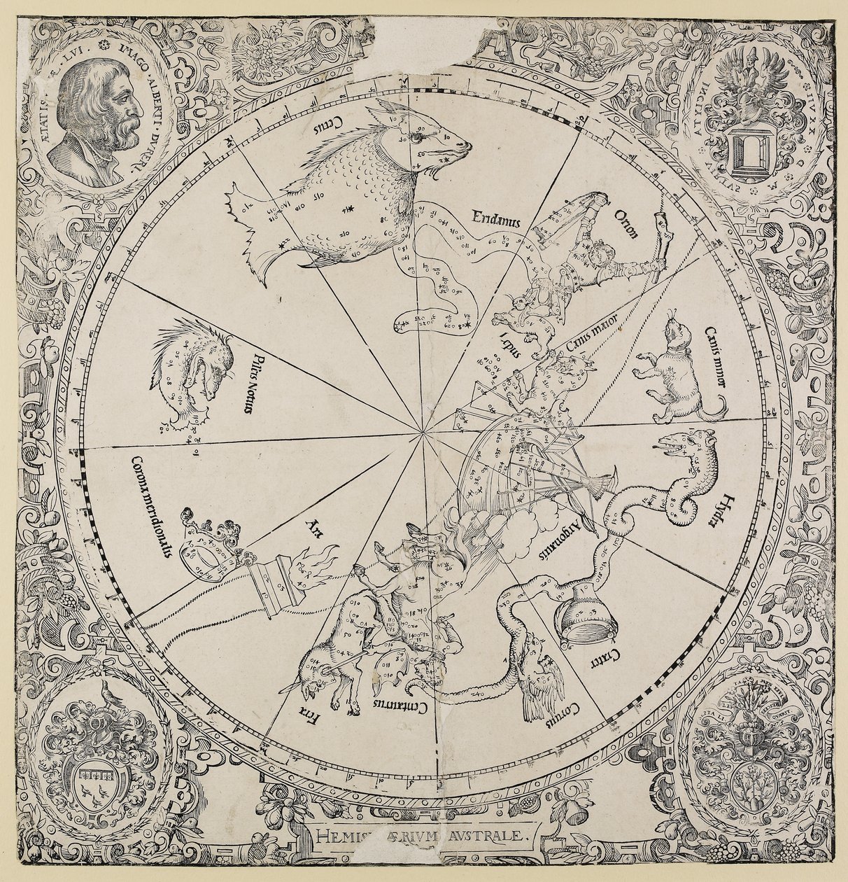 De Hemelkaart van het Zuidelijk Halfrond door Albrecht Dürer