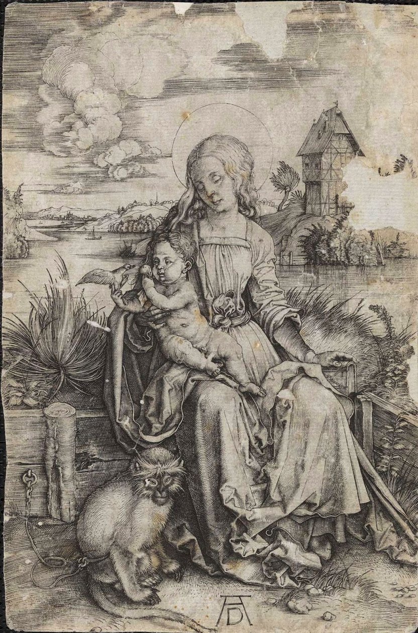 Maagd en kind met een aap door Albrecht Dürer