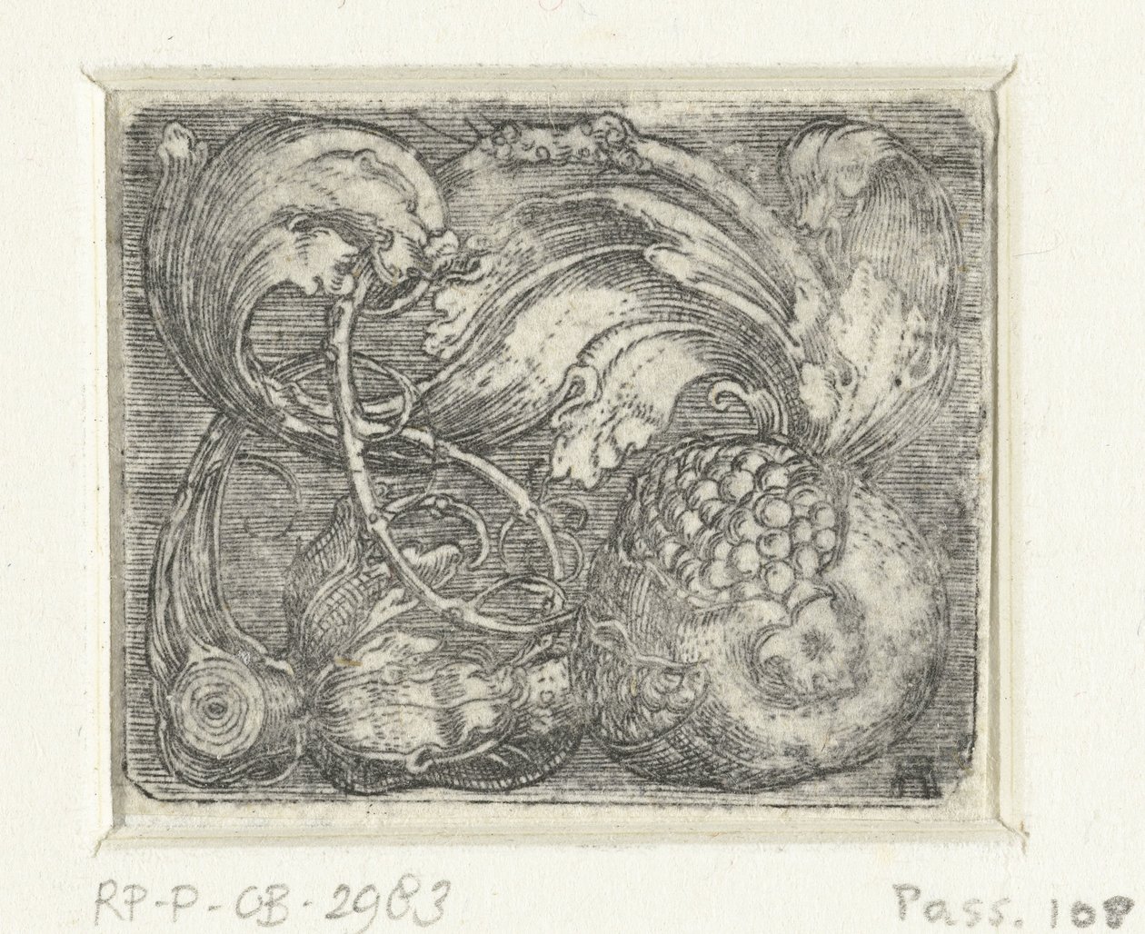 Granaatappel en bladranken door Albrecht Altdorfer