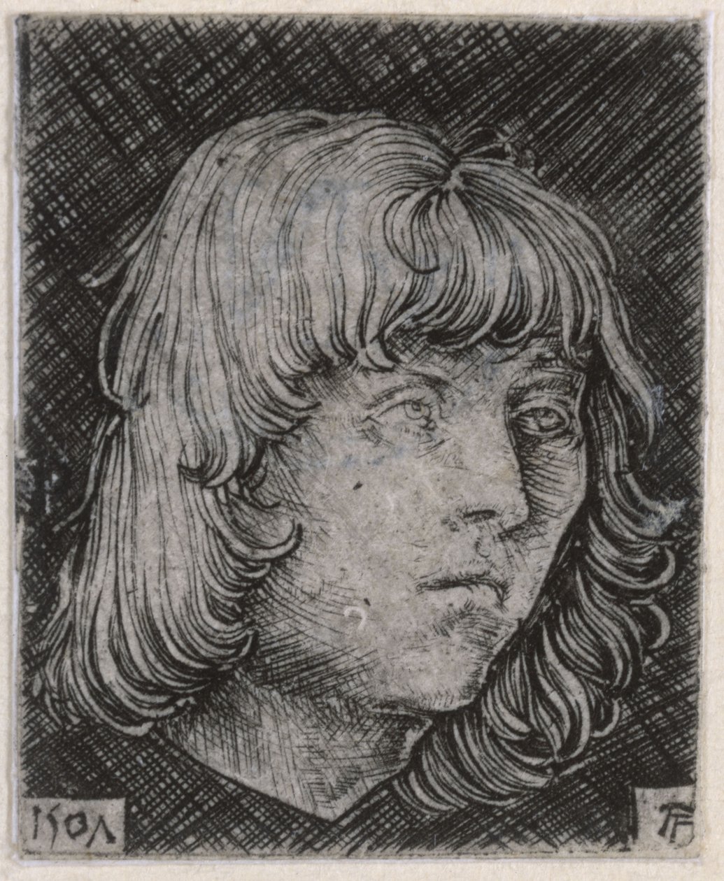 Hoofd van een jonge man door Albrecht Altdorfer