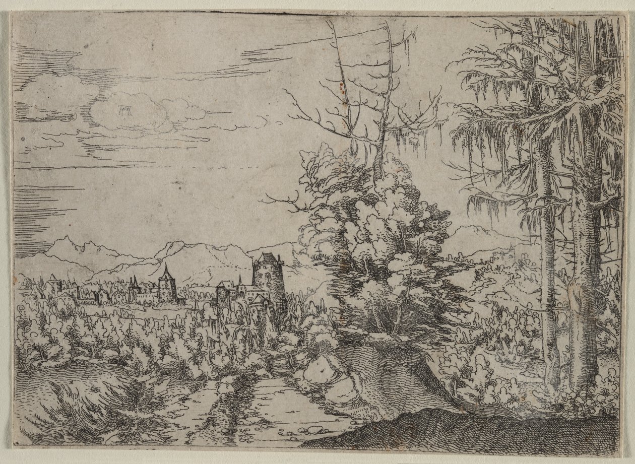 Landschap met Twee Pijnbomen door Albrecht Altdorfer
