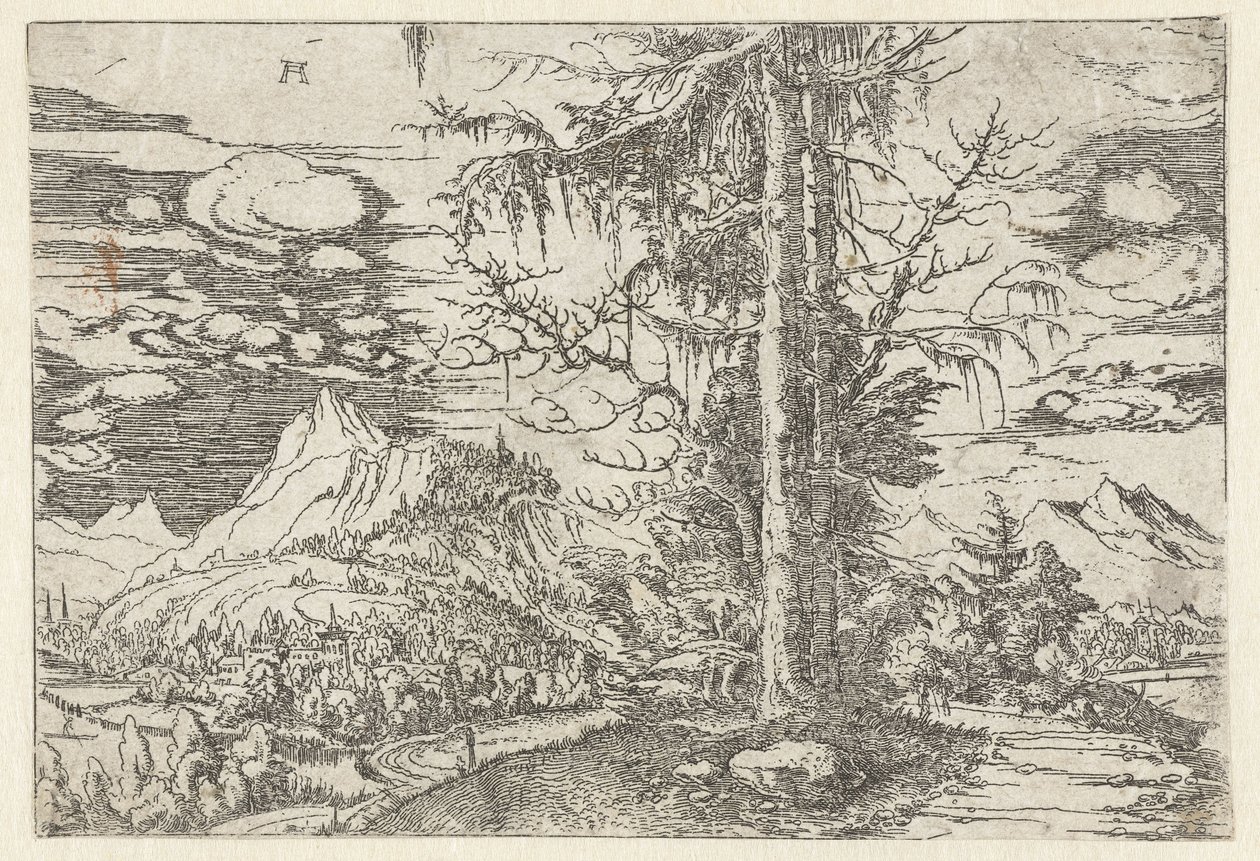 Landschap met dubbele spar door Albrecht Altdorfer